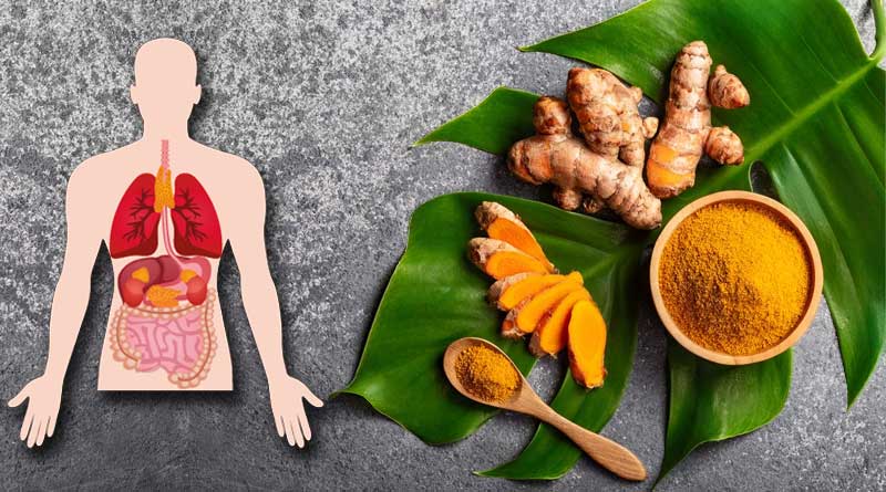 How Turmeric works in our bodies