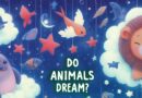 do animals dream?