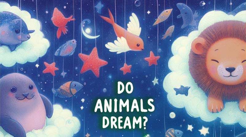 do animals dream?